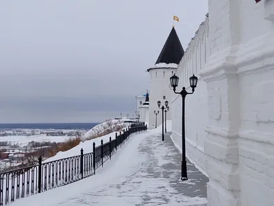 Белые мишки СУЭНКО вернулись в Тобольск | Вслух.ru