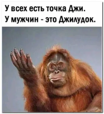 Неприличный стишок о науке