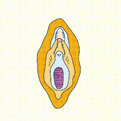 Точка G: истории из жизни, советы, новости, юмор и картинки — Все посты |  Пикабу