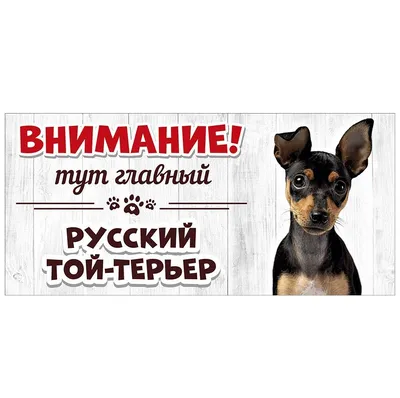 Пинчер: верный друг и защитник» — создано в Шедевруме