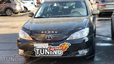 Спойлер на стекло Тойота Камри 30 (спойлер на заднее стекло Toyota Camry  V30) - Купить спойлер на заднее стекло в Украине | Интернет магазин  Экcпресс-тюнинг