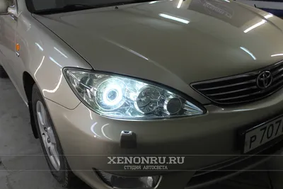 Дефлектор капота Toyota Camry 30 01-06 Vip Tuning, купить по низкой цене в  Украине