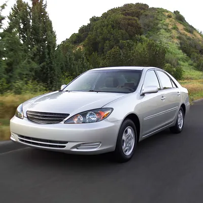 Спойлер на стекло Тойота Камри 30 (спойлер на заднее стекло Toyota Camry  V30) - Купить спойлер на заднее стекло в Украине | Интернет магазин  Экcпресс-тюнинг