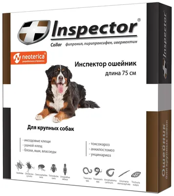 https://www.ozon.ru/product/fenpraz-forte-ot-glistov-dlya-sobak-sredstvo-ot-glistov-dlya-sobak-srednih-porod-i-shchenkov-s-3-h-1133909846/