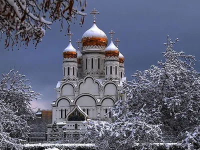 Тольятти: фото природы и реки Волги