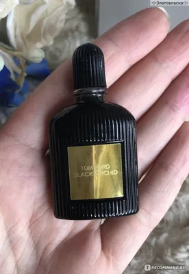 Tom Ford Black Orchid: описание аромата духов и отзывы о парфюме Тома Форда  «Черная Орхидея» в статье от AromaCODE