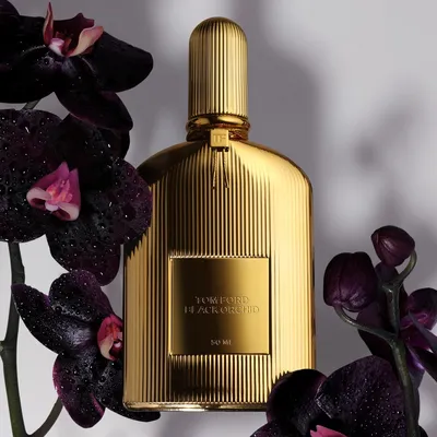 Парфюмерная вода Black Orchid (50ml) TOM FORD для женщин — купить за 15600  руб. в интернет-магазине ЦУМ, арт. T005-01