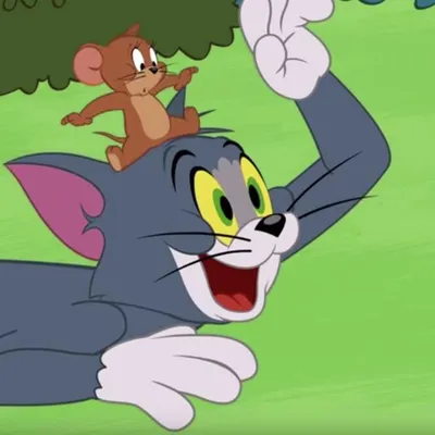 Мультсериал «Шоу Тома и Джерри» – детские мультфильмы на канале Карусель