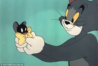 Универсальные мемы, которые подарил нам «Том и Джерри»
