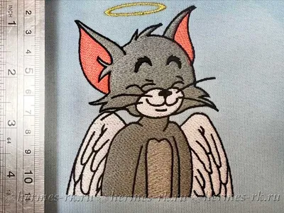 Our favourite Tom and Jerry through the years : r/Damnthatsinteresting