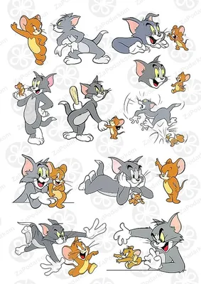 The Tom and Jerry Show (TV Series 2011–2022) - IMDb