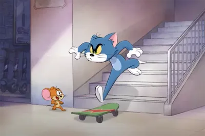 Журналы Tom and Jerry (WB) Коллекция для детей (1-12/21) Том и Джерри 12  номеров купить по цене 749 ₽ в интернет-магазине Детский мир