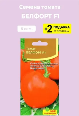 Белфорт F1 - семена томатов, 500 семян, Enza Zaden/Энза Заден (Голландия) -  купить в интернет-магазине fremercentr.ru быстрая доставка. Почтой или ТК.