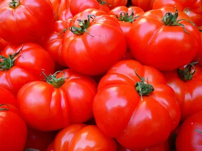 Купить семена томата Пинк Калибр F1 на дачу почтой | оптом и в розницу