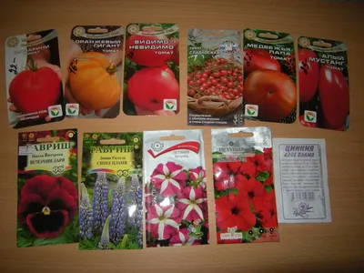Семена томата Михито F1, 5 шт, Minami, семена Леда Агро арт. 58632 – купить  за 32 грн. в интернет-магазине Лето 🌿