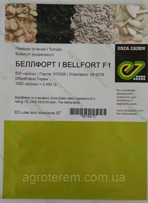 Verbena, marigold, mint, rosemary, aromatic and medicinal plants, kitchen,  home, Belfort, Territoire de Belfort, France - SuperStock