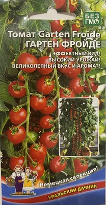 Томаты Уральский дачник Семена томатов коллекционныеУральский дачник. -  купить по выгодным ценам в интернет-магазине OZON (756689101)