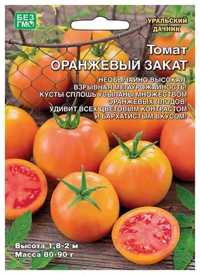 Семена томат Уральский дачник Викторина 23333 1 уп. - купить в Москве, цены  на Мегамаркет