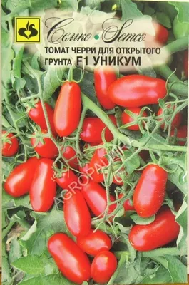 Томат Анастасия «Уральский дачник» 🏆 – купить семена в Перми