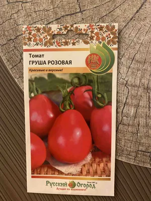 Томат Сибирская Грушовка от @agrofirma_sibsad выращивание в рамках проекта  #сибсад_тестирование2022 #СибирскаяГрушовкаТоматСибСад… | Instagram