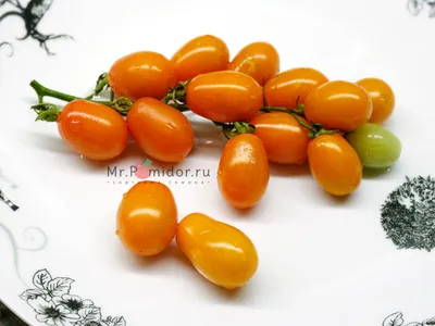 Томат Красная груша (Red Pear), 5 шт. Premium Selection, купить в интернет  магазине Seedspost.ru