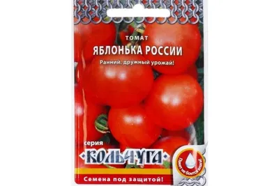 Обзор сорта помидора томата \"Яблонька России\" (характеристики, свойства,  фото) - YouTube