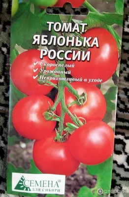 Купить томат яблонька россии 0,2г русский огород по оптимальной цене.  Строительные материалы оптом и в розницу с доставкой