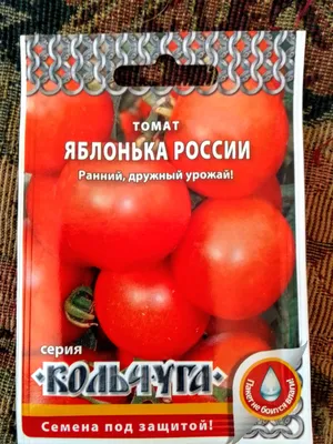 Томат Яблонька России 10 шт / Мязина — купить в городе Барнаул, цена, фото  — Сияние