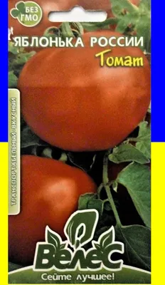 Томат Яблонька России (семена, универсального выращивания) купить по цене  43 ₽ в интернет-магазине KazanExpress