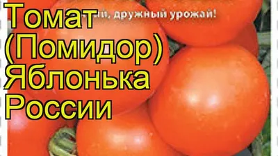 https://irecommend.ru/content/mozhno-li-sazhat-prosrochennye-semena-tomatov-urozhainyi-tomat-yablonka-rossii-kotoryi-ne-tr