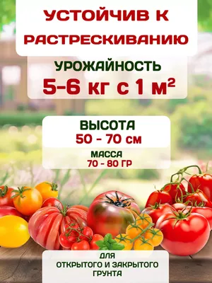 Томат Яблонька России \"Гавриш\" в Перми – купить семена