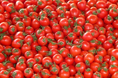 Польза и вред помидоров: какие выбрать и в каком виде съесть | Новости и  статьи ВкусВилл: Москва и область