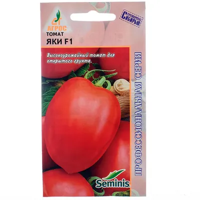 Растим балконный сорт томатов — легко и просто! | Дом | WB Guru