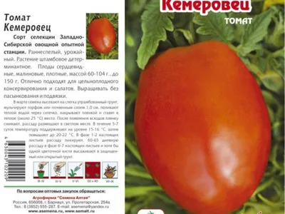 Томат Кемеровец семена 0,08г купить пакетированные семена помидор |  Питомник ВАСХНиЛ