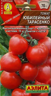 Семена Томат Бакинские 622 купить по цене 41 ₽ в интернет-магазине  KazanExpress