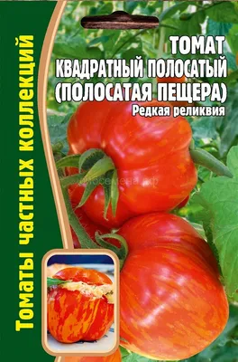 Семена Томат Кемеровец, среднеранний, 20 шт цена, купить Семена Томат  Кемеровец, среднеранний, 20 шт в Минске недорого в интернет магазине Сима  Минск