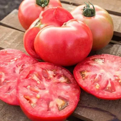 Купить Семена томатов Микадо розовый 0,1 г, Яскрава с доставкой по Украине  в интернет-магазине Агронабор - 615881917