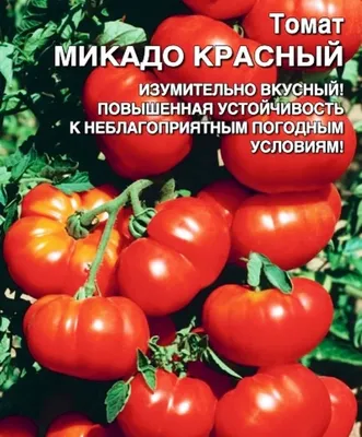 Микадо розовый томат