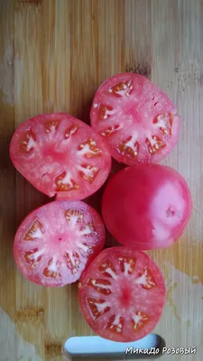 купить семена Томата Микадо Розовый в интернет-магазине с доставкой -  Интернет-магазин «СЕМЕНА ТУТ»
