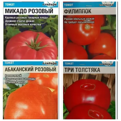 Семена Томат \"Микадо розовый\" 20шт купить по цене 51 ₽ в интернет-магазине  KazanExpress