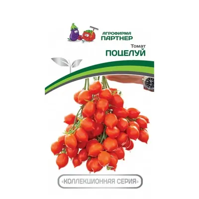 Помидоры Маленький Поцелуй Герани — Little Geranium Kiss Tomato | Дом  Помидоров - Помидом