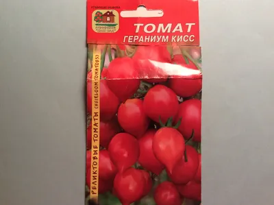 Поцелуй герани (Geranium Kiss), Комнатно-горшечные, мини-томаты,  низкорослые \"черри\"