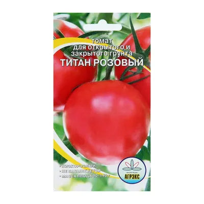 Томат Титан розовый «Уральский дачник» 🏆 – купить семена в Перми