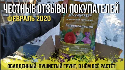 Агроуспех Томат Титан розовый 3г — купить в интернет-магазине по низкой  цене на Яндекс Маркете