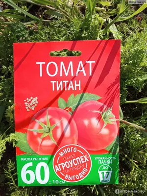 Купить семена Томата Титан в нашем магазине по Лучшей цене
