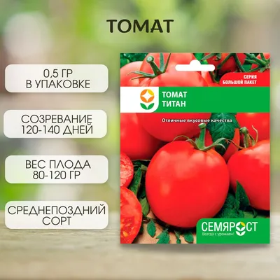 Томат Розовый титан - семена овощей купить в Астане с доставкой почтой по  Казахстану