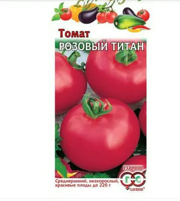 Томат Розовый титан 0,05г семена купить в Самаре по цене 21 руб.