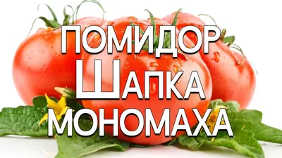 Сибирский сад Семена Томатов Шапка Мономаха крупноплодный