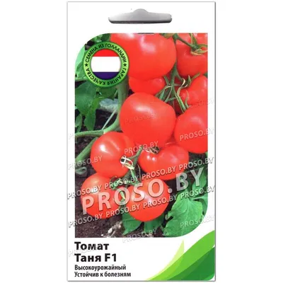 Tomatoes Tanya F1 | Detailed description, photo , growing, buy