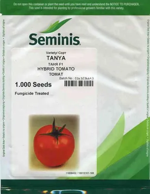 Томат ТАНЯ F1 (SEMINIS) Голландский сорт: семена, описание, фото.